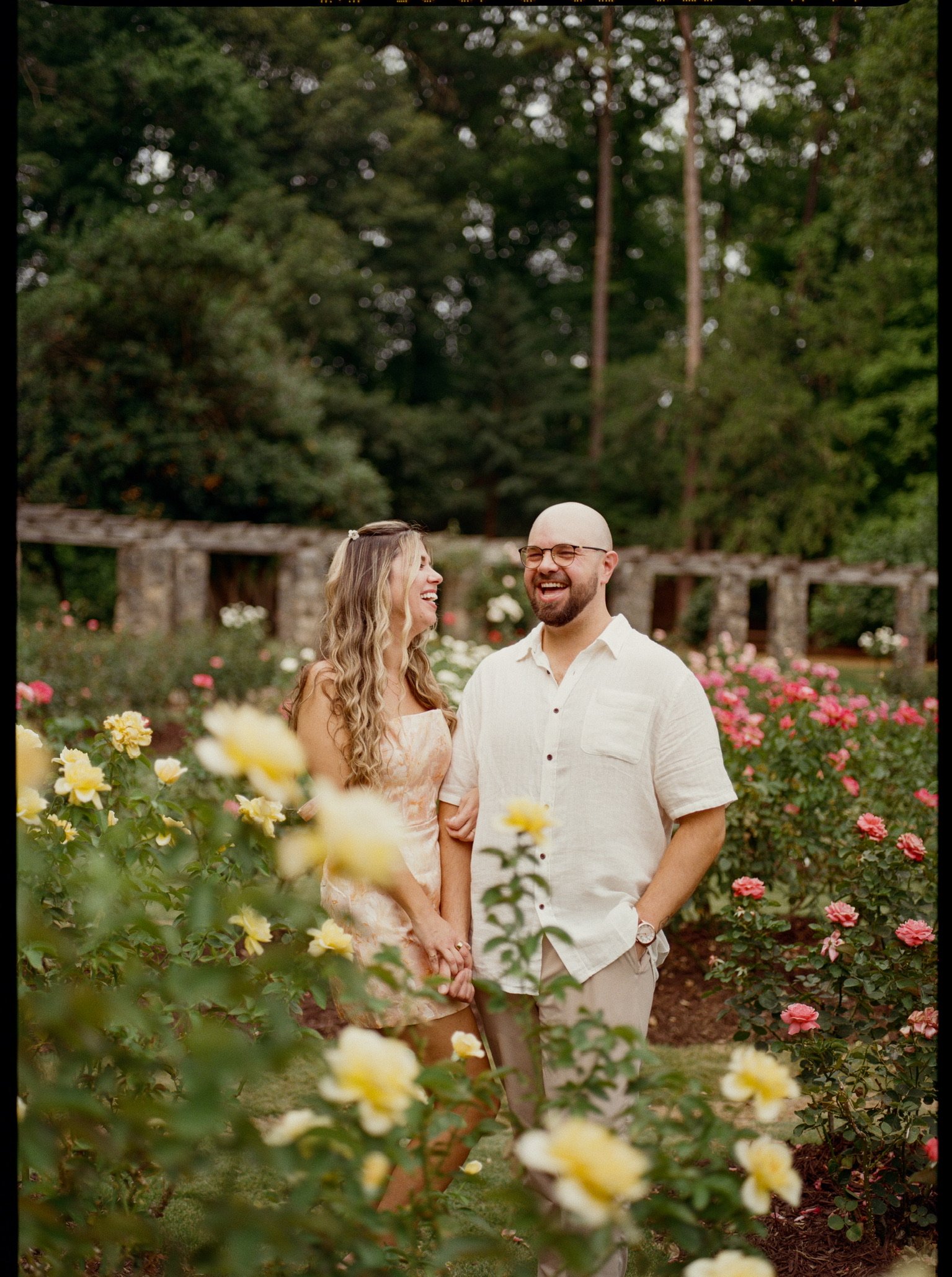 Nicole laughing up at Ian among the yellow roses, both of them grinning.