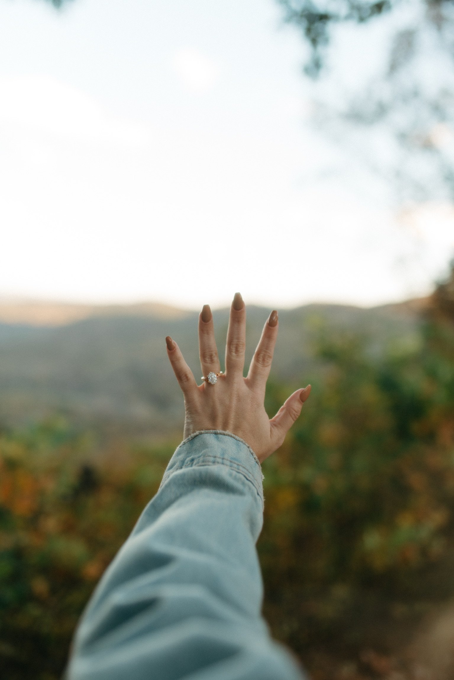 Nicole’s hand held up against the mountains, the new ring on her finger.