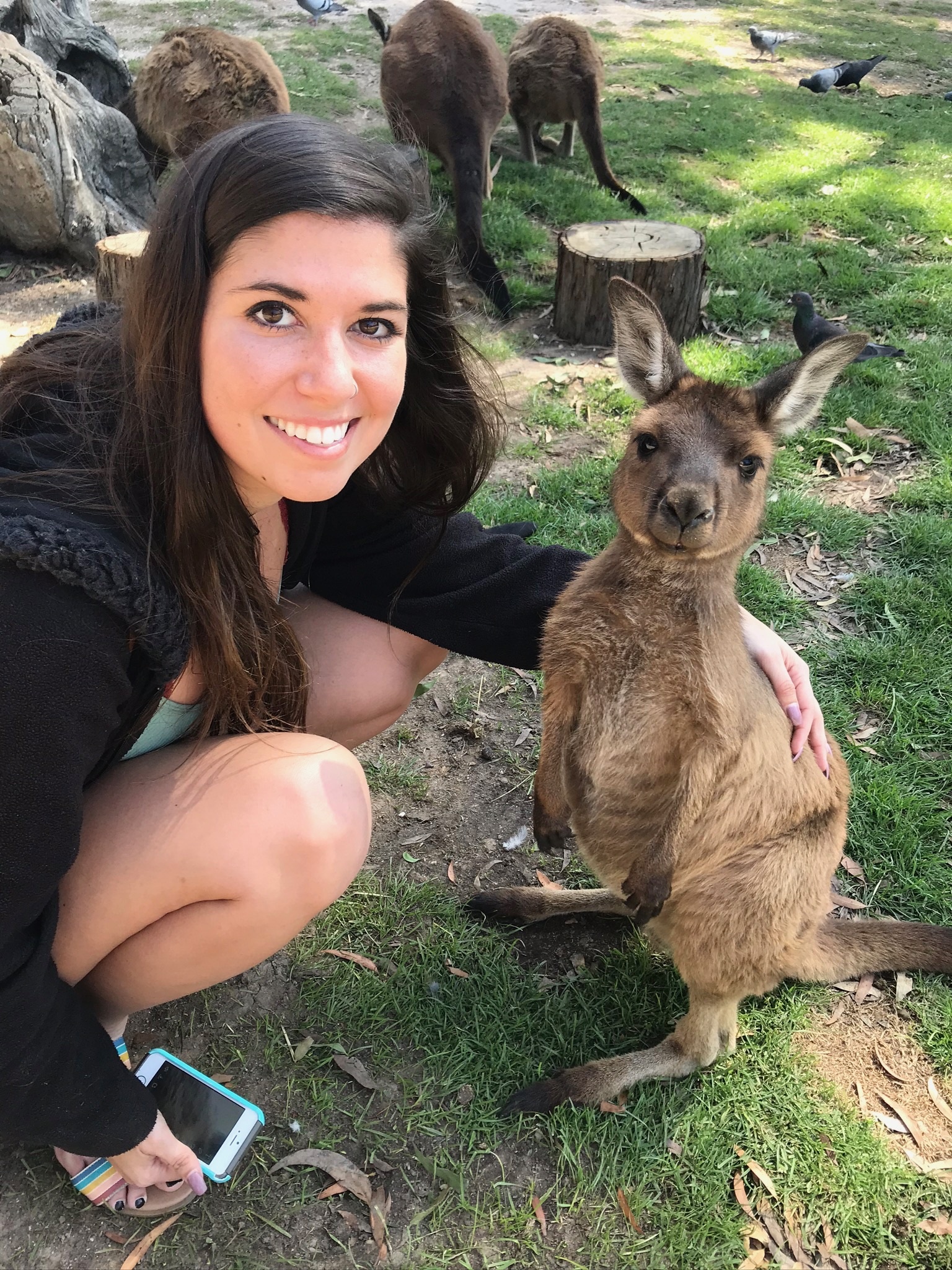 A young woman crouching on the grass beside a kangaroo, more kangaroos grazing behind her.