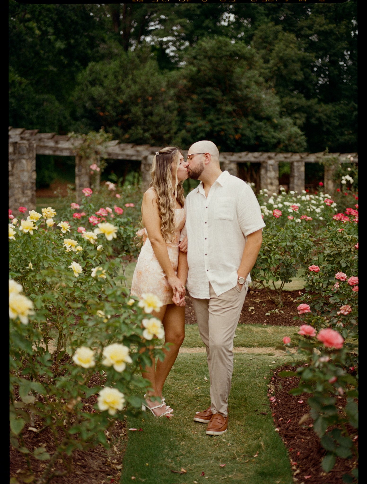 Nicole and Ian kissing among the yellow and pink roses, the stone pergola behind them.