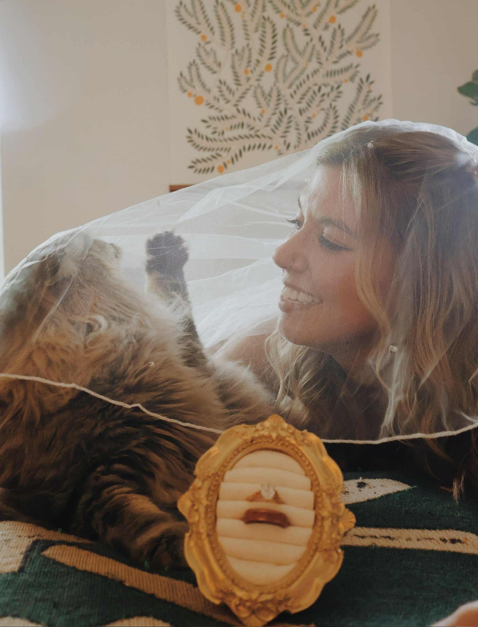 Nicole laughing under the veil with a tabby cat that is pawing at it, the gilded ring box in front.