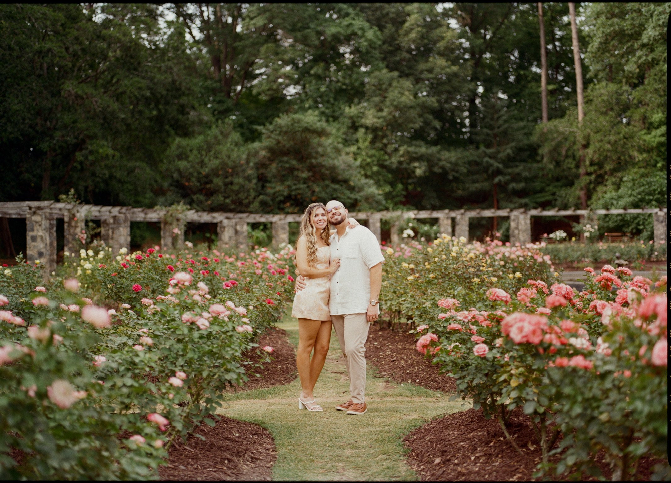 Nicole and Ian standing close at the end of a grass path between rose beds, the stone pergola and tall trees behind.