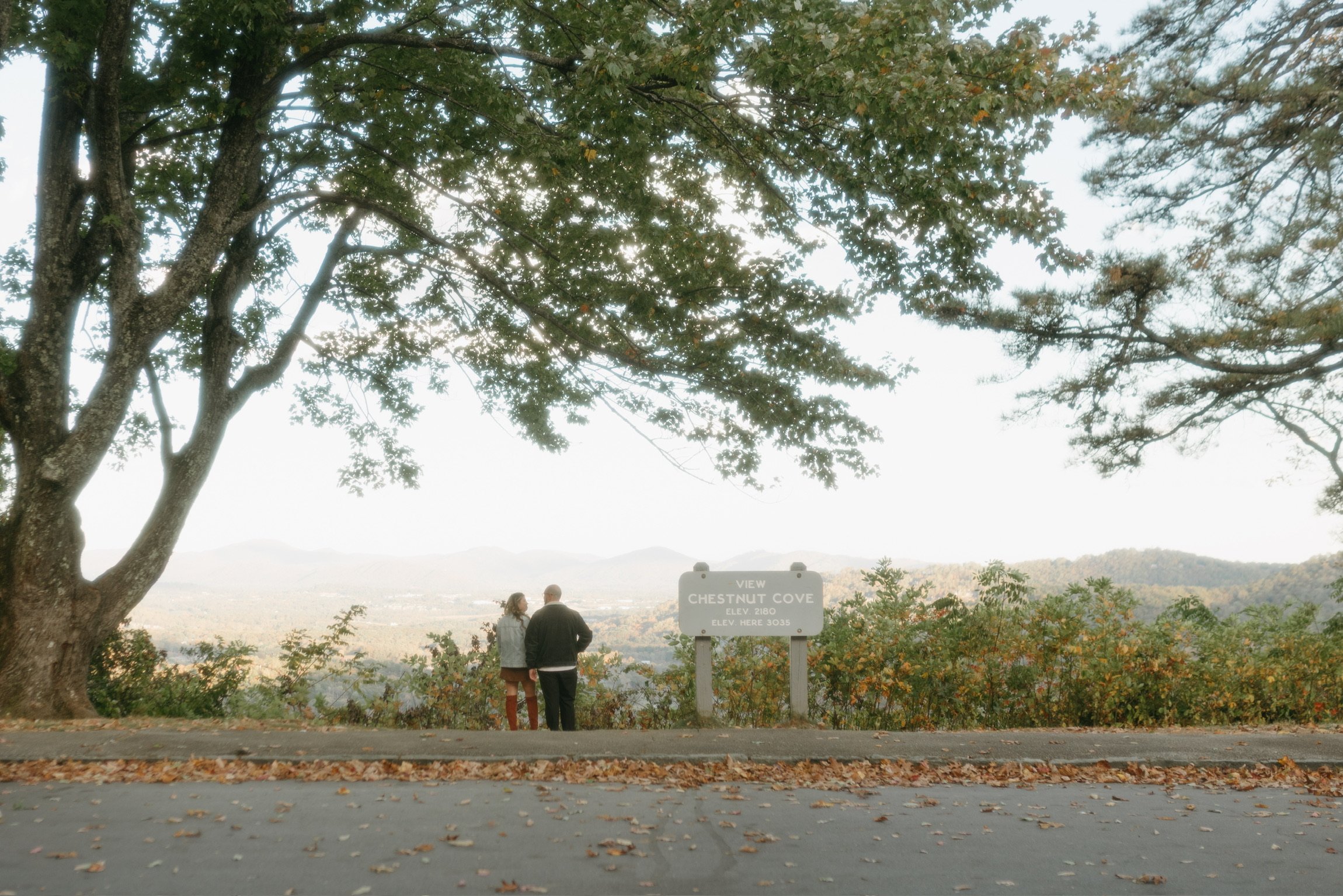 Two small figures at the Chestnut Cove overlook on the Blue Ridge Parkway, framed by a spreading tree and autumn leaves on the road.